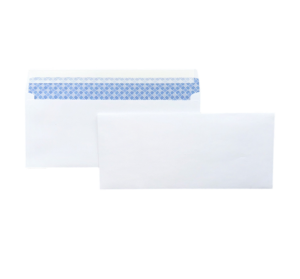 #10 Security Window Envelope